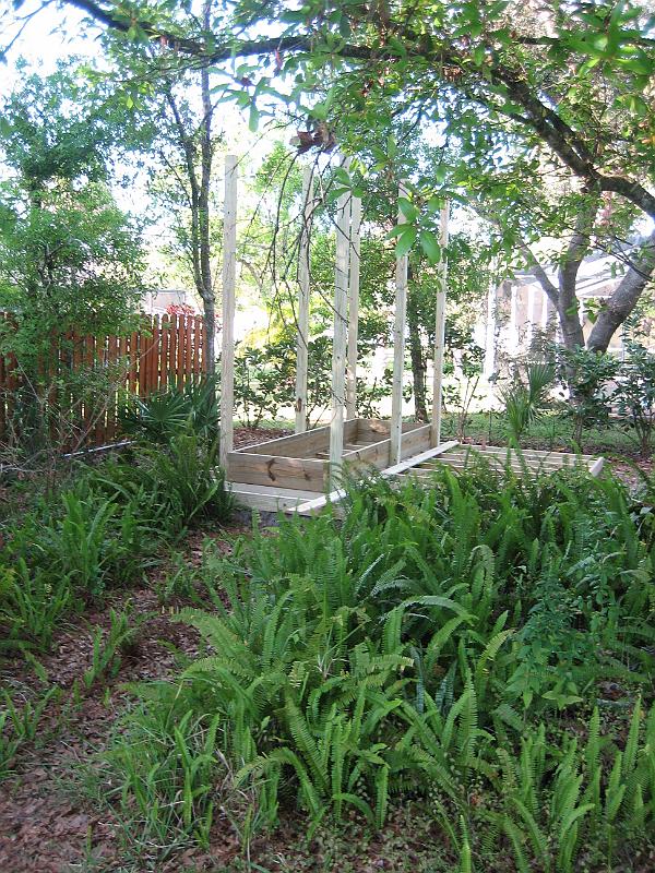 Picture 003
